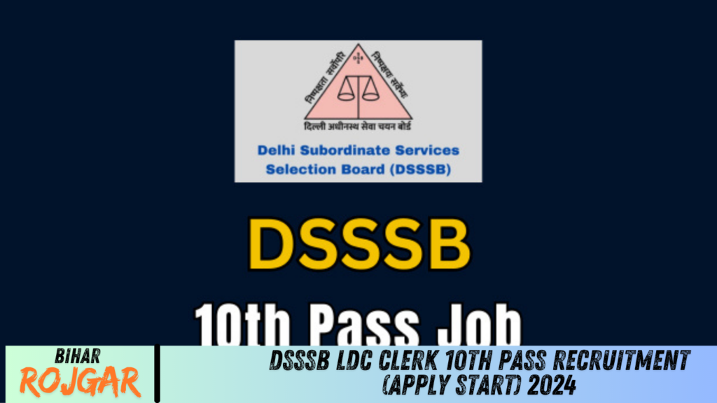 DSSSB LDC Clerk 10th Pass Recruitment (Apply Start) 2024